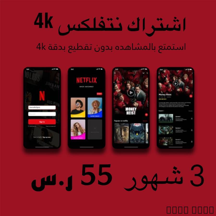 اشتراك نتفلكس 4