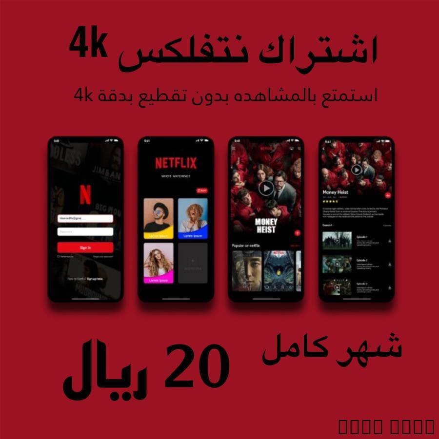 اشتراك نتفلكس 4