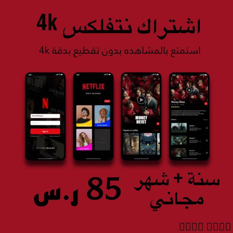 اشتراك نتفلكس 4