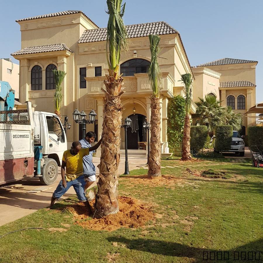 السلام عليكم ورحمة الله وبركاتهنحن متخصصون في مجال اشغال النخيل واشجارالوا