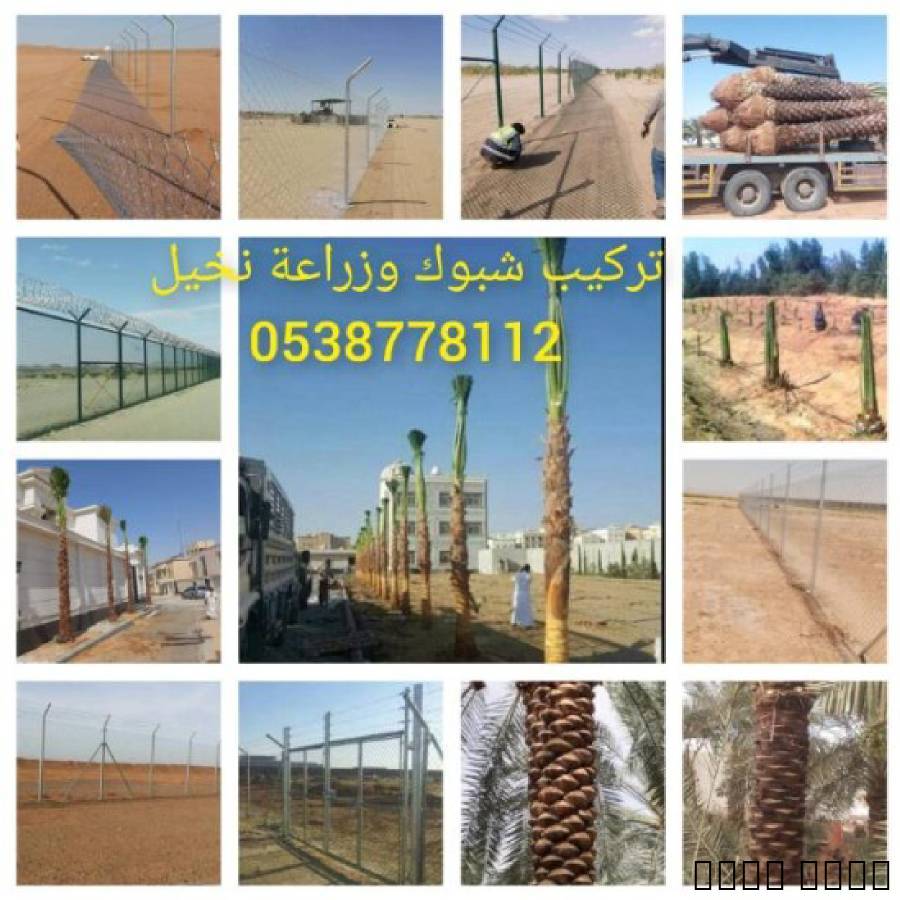 زراعة النخيل واشجارالواشن