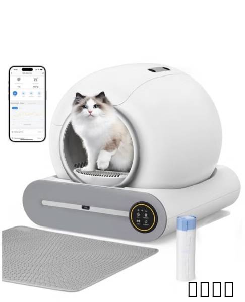 litter Box