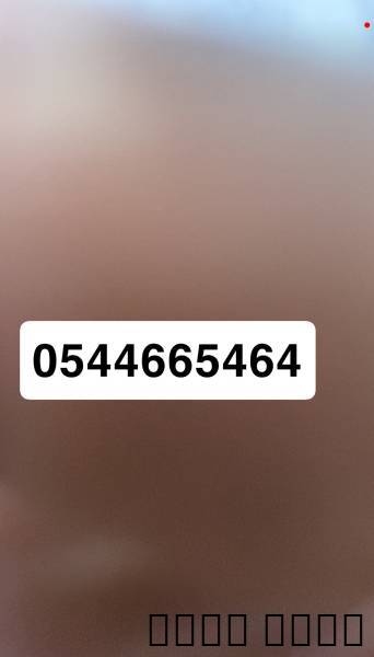بندقية كريكت 2 تيكتيكال 7
