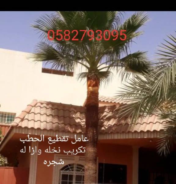عامل تقطيع الحطب و تشليخ الاشجار والنباتات