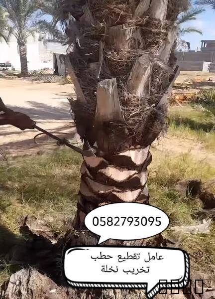 عامل تقطيع حطب و تشليخ الاشجار والنباتات تكريب نخله وازا له شجره