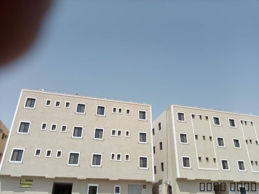 دهانات