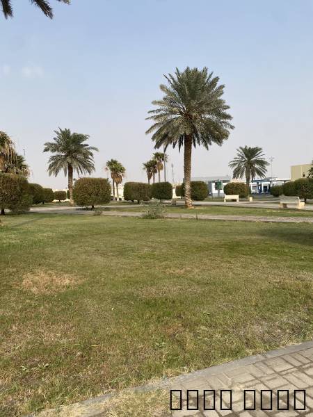 جانب بنك الراجحي