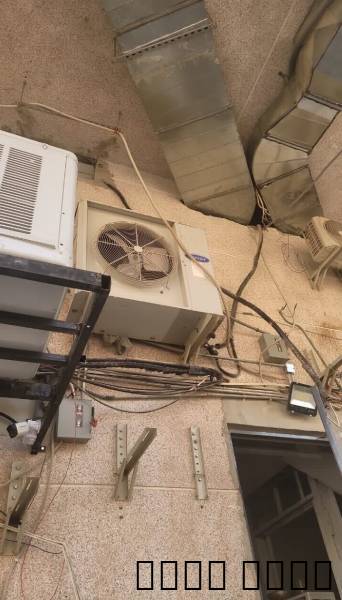 الرياض
