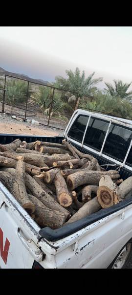 حطب سمر.